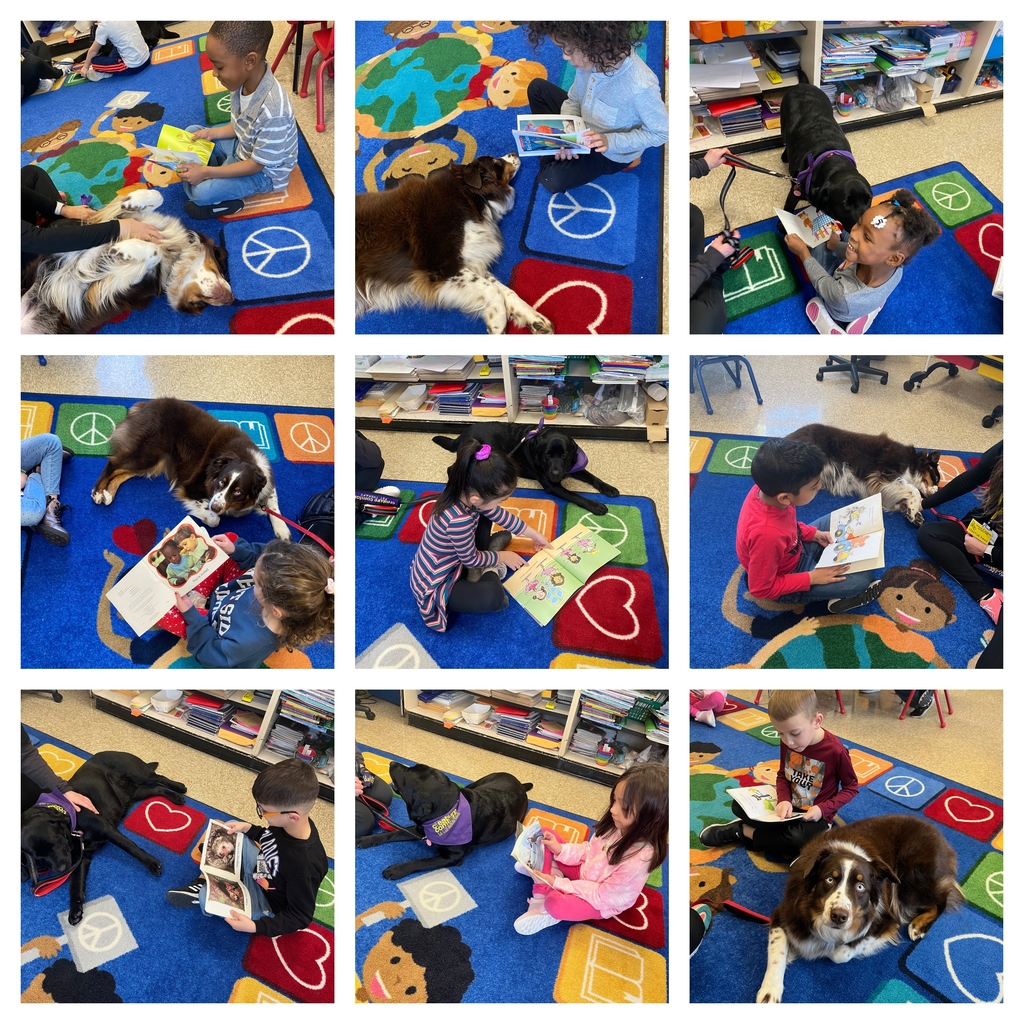 Creature Comfort Pet Therapy dogs being read to by 1st graders