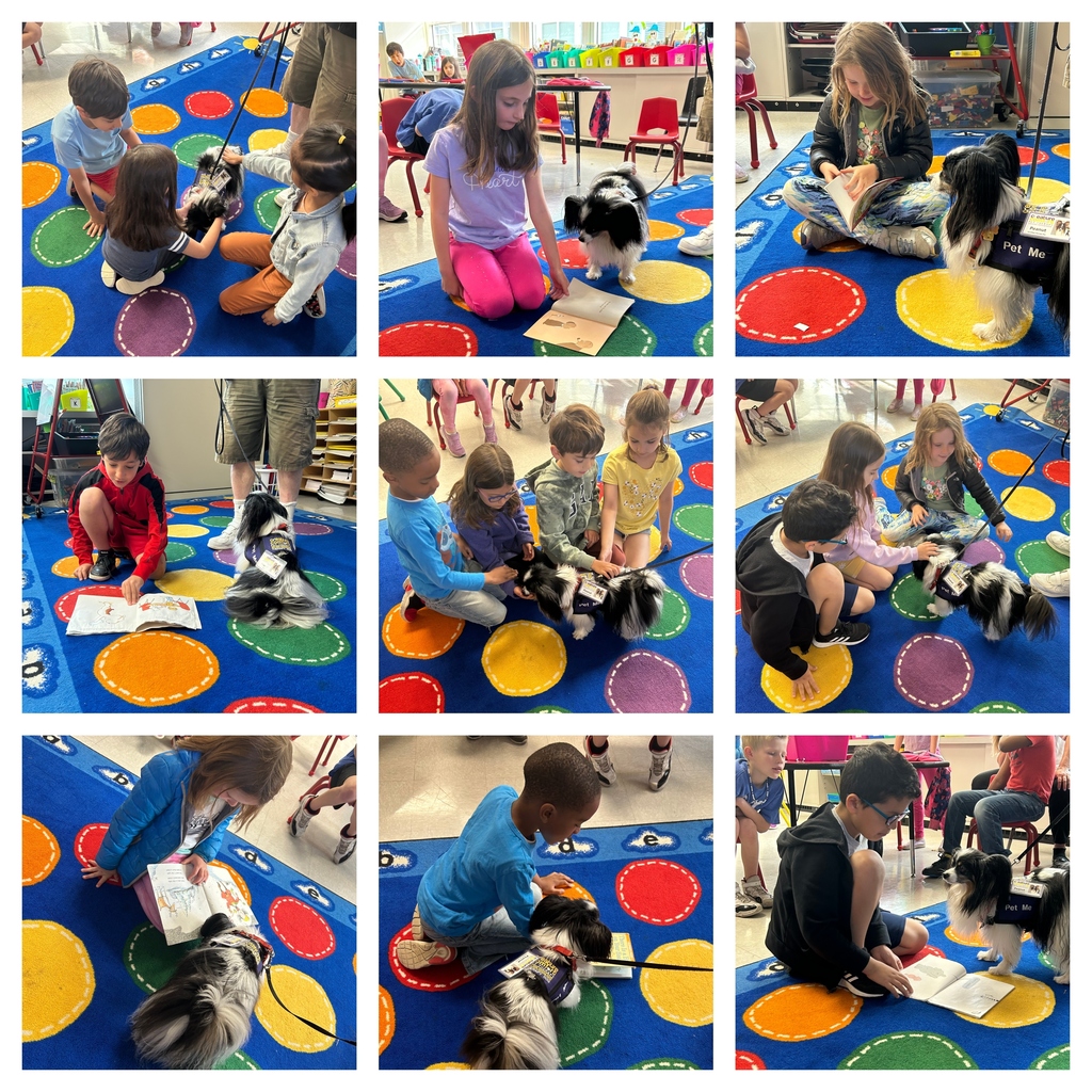 1st grade pet therapy